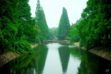 雨季
