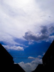 IMG_20120701_100940.jpg