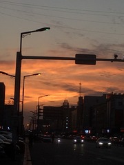 6F7C1BC8-9481-4E0F-A60A-126E61D22BD7/L0/001
