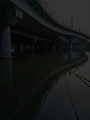 5320218