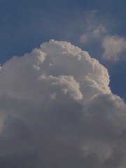 3A19319F-566F-4406-BA99-AA8A2A1C358A/L0/001