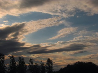 B37F64EA-9EC1-4A85-AEBA-E4BB75F0BD17/L0/001