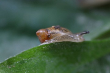 IMG_9342.JPG