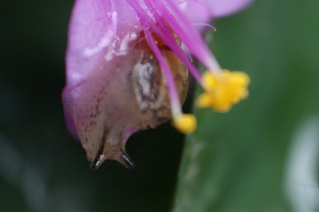 IMG_9330.JPG