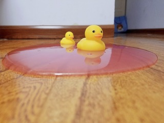 30381