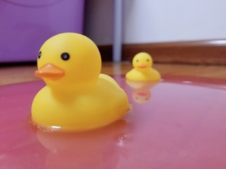 30388