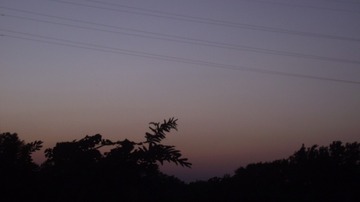 714F302C-DC95-4E25-8141-B16FAE016B5B/L0/001