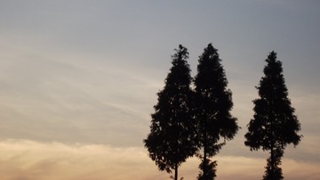 7D56F56B-4560-42C8-8829-BB4A39AE6F67/L0/001
