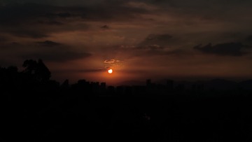 1000057605
