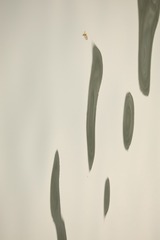 303914