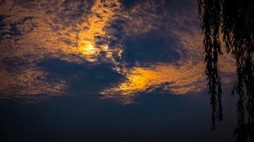 294924B6-760F-4AED-A8DF-88AC41BA0EA6/L0/001