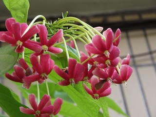 DSCF1723.JPG