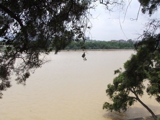 DSCF1242.JPG
