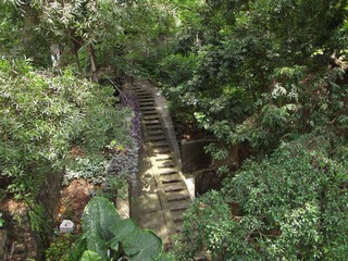 DSCF1244.JPG
