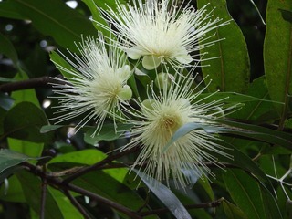 DSCF1276.JPG