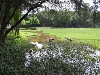 DSCF1372.JPG