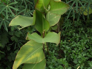 DSCF2277.JPG