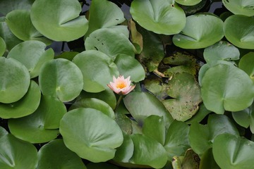 DSC00102.JPG
