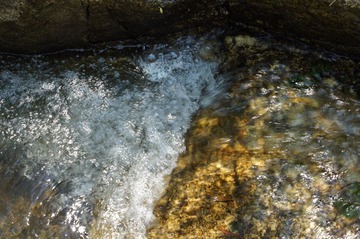 DSC01087.JPG