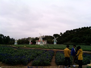 IMG_20130302_131227.jpg