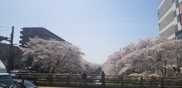 7B8AB0BA-D94C-492D-8FB8-5FB9A987E2F0/L0/001