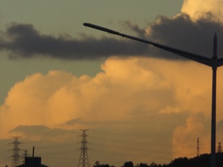 1000153169