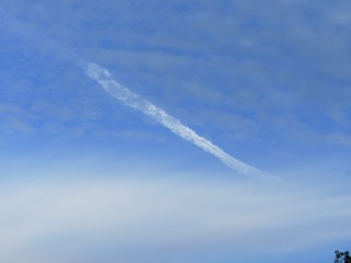 1000153006