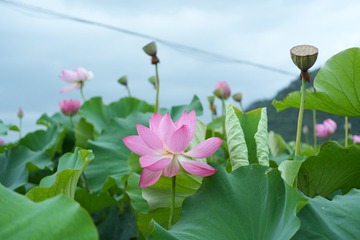 001