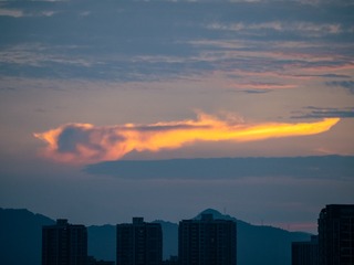 1000031842