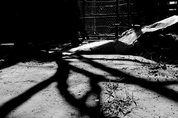 DSC00016 (2).JPG