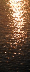 E711E37D-40AD-4C63-B502-EF06C6054D73/L0/001