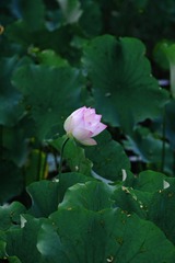 74CB2D6F-784B-4533-ADBC-82093EE6BC96/L0/001