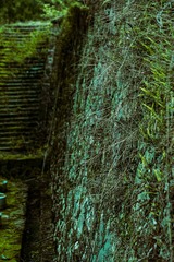 A6C62227-868F-4EFC-8616-44E0B5FFCC94/L0/001