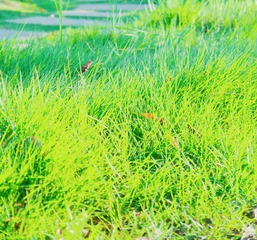 5CE2B48D-83BB-455E-B0F4-4542204B9C64/L0/001
