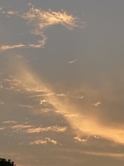 63C2D2A1-475F-4352-91D9-1DB04F65E291/L0/001