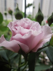 A549D1AB-95E2-42B9-9CF4-21840D8EE8DC/L0/001