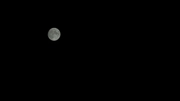 3A67ED2F-B8D9-4685-B1D2-AF86D0CFE461/L0/001