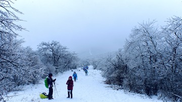 DSCF6969 1