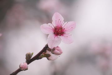 CC72AA3C-1065-4D23-8294-3189EA16B3E7/L0/001