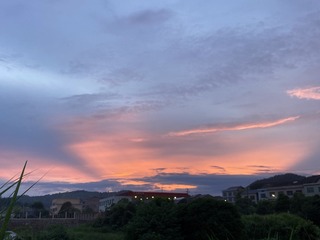 05AA645B-A8D5-4DF0-B011-2FDC79C7E764/L0/001