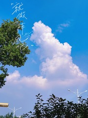F26336FA-EE21-40BF-A1AC-CBA2EB516B89/L0/001