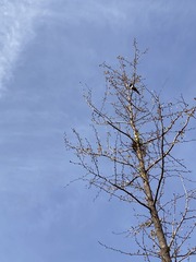 B0A96D51-70C9-414F-B630-FA35631D63F4/L0/001