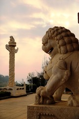 903A2335.JPG