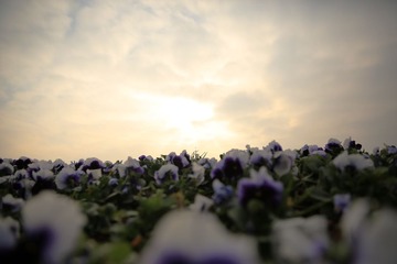 903A2378.JPG