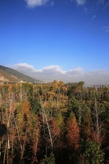 903A1158.JPG