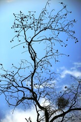 903A1229.JPG