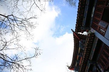 903A1278.JPG