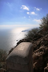 903A1445.JPG