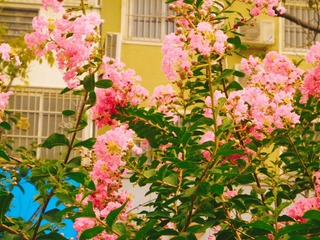 4B55EF9C-EEA4-41D0-9D9C-B341156DD9F5/L0/001