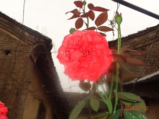 A255BD37-BFC3-47DF-8B80-4F44CADB61BD/L0/001